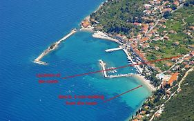 Pansion Antunovic